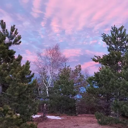 Sumski San 1 Divčibare